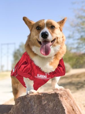 Image showing  NCAA Alabama Crimson Tide Pet Jersey