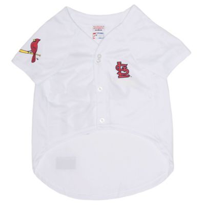 Image showing  St. Louis Cardinals Dog Jersey Large