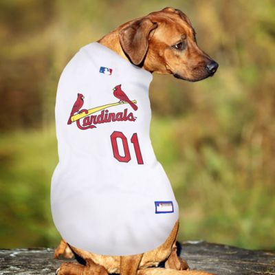 Image showing  St. Louis Cardinals Dog Jersey Large