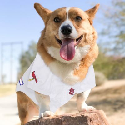 Image showing  St. Louis Cardinals Dog Jersey Large