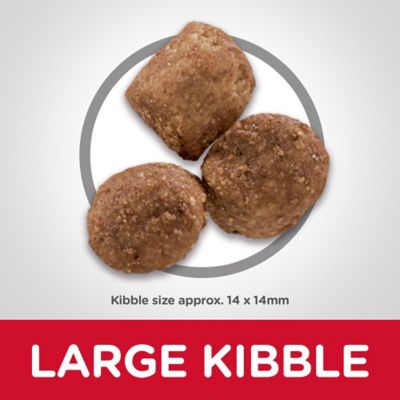 Image showing  Large Breed Adult Healthy Mobility Chicken, Brown Rice and Barley Recipe Dry Dog Food