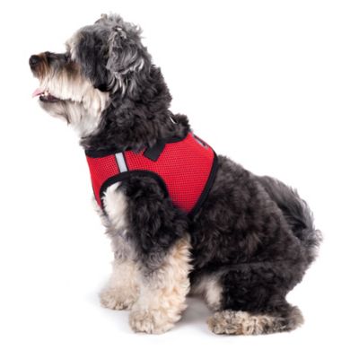Image showing 1 th Worthy Dog Reflective Sidekick Dog Harness