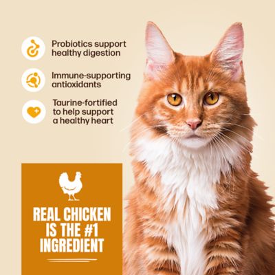 Image showing  All Life Stages Indoor/Outdoor Chicken and Rice Formula Dry Cat Food
