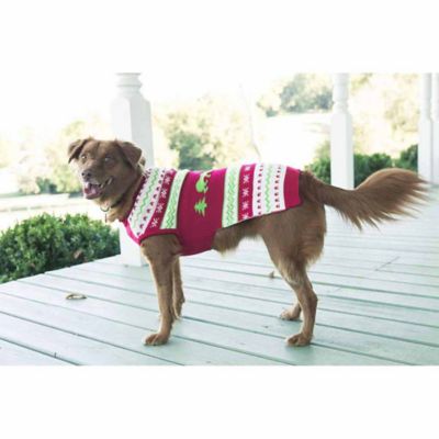 how often does a german shepherd go into heat