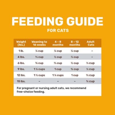 Image showing 5 th 4health with Wholesome Grains All Life Stages Indoor/Outdoor Chicken and Rice Formula Dry Cat Food