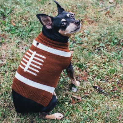 Image showing  Touchdown Dog Sweater