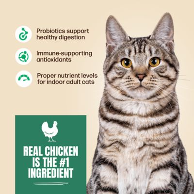 Image showing  Adult Indoor Chicken Formula Dry Cat Food