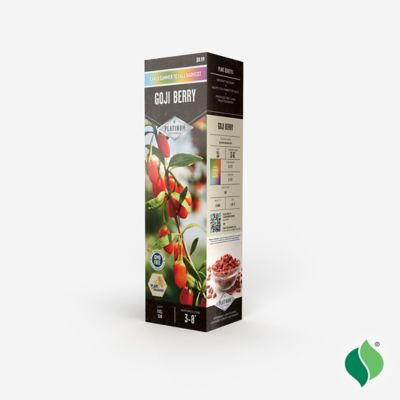 Image showing  Goji Berry