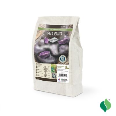 Image showing  Potato Adirondack Blue 3 lbs.