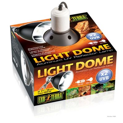 Image showing  Mirror Dome Light 7 in.