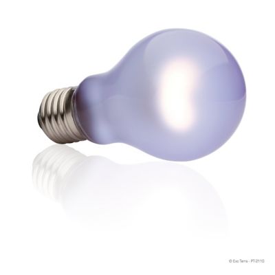 Image showing  Daytime Heat Lamp, 60W