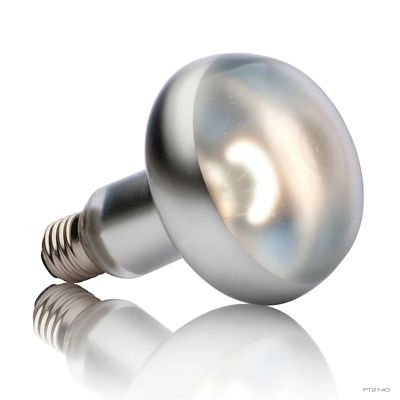 Image showing  Intense Basking Spot Lamp, 150W