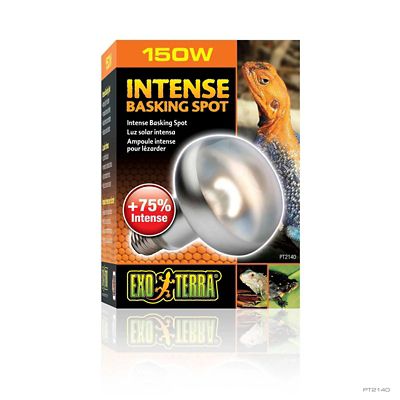 Image showing  Intense Basking Spot Lamp, 150W