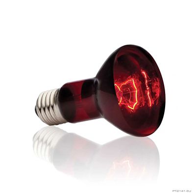 Image showing  Infrared Basking Spot Lamp, 50W