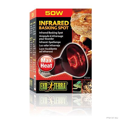 Image showing  Infrared Basking Spot Lamp, 50W
