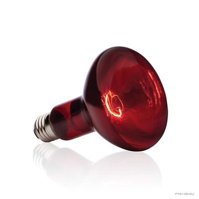 Image showing  Infrared Basking Spot Lamp, 150W