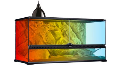 Image showing 5 th Exo Terra Infrared Basking Spot Lamp, 150W