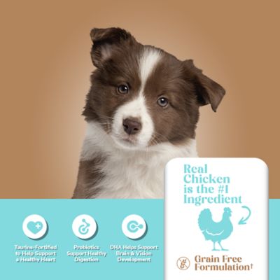 Image showing  Puppy Chicken Formula Dry Dog Food