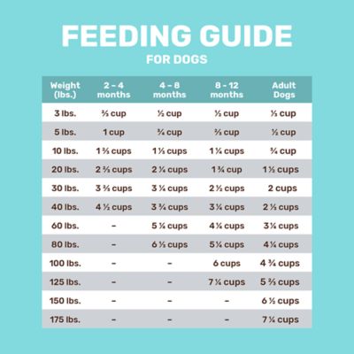 Image showing 5 th 4health Grain Free Puppy Chicken Formula Dry Dog Food