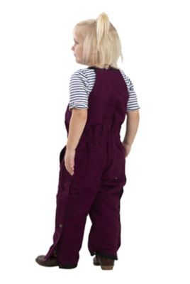 Image showing  Toddler Girls' Softstone Duck Insulated Bib Overalls