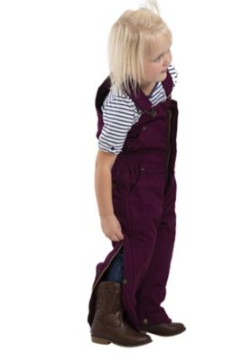 Image showing  Toddler Girls' Softstone Duck Insulated Bib Overalls