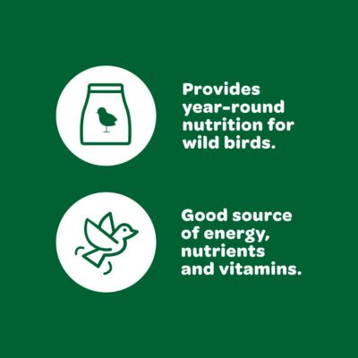 Image showing  Basic Blend Wild Bird Food, 10 lb. Bag