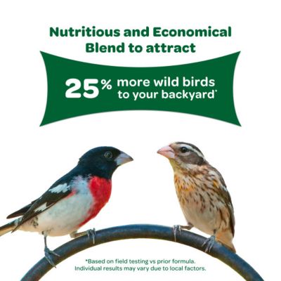 Image showing  Basic Blend Wild Bird Food, 10 lb. Bag