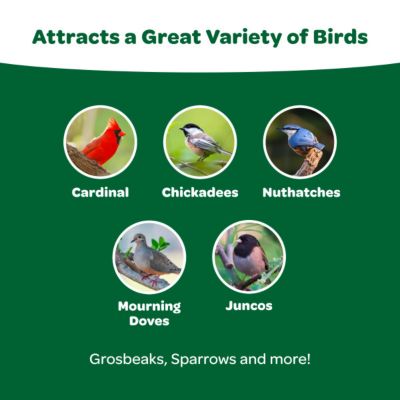 Image showing  Basic Blend Wild Bird Food, 10 lb. Bag