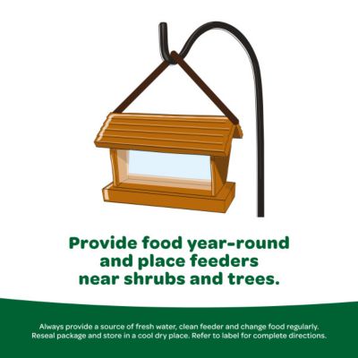 Image showing 6 th Kaytee Basic Blend Wild Bird Food, 10 lb. Bag