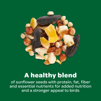 Image showing 7 th Kaytee Basic Blend Wild Bird Food, 10 lb. Bag