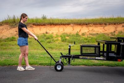 Image showing  600 lb. Capacity Trailer Transporter