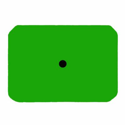 Y-TEX SwineStar Blank ID Pig Tags, 2 pc., Green, 25 pk.