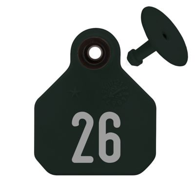 Image showing  All-American Numbered ID Cattle Tags, 2 pc., 026-050, Mini, Black, 25 pk., 6314026