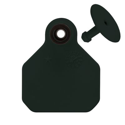 Y-TEX Blank All-American ID Cattle Tags, 2 pc., Mini, Black, 25-Pack