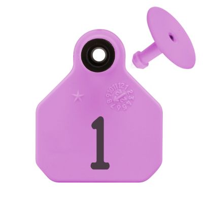 Y-TEX Numbered All-American ID Cattle Tags, 2 pc., 001-025, Mini, Purple, 25-Pack