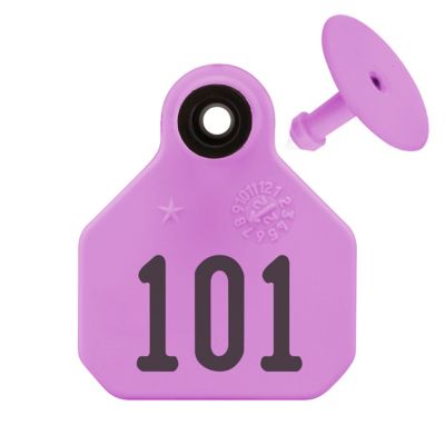Y-TEX Numbered All-American ID Cattle Tags, 2 pc., 101-125, Mini, Purple, 25-Pack