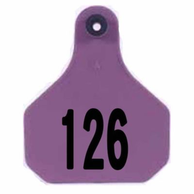 Y-TEX All-American Numbered ID Cattle Tags, 2 pc., 126-150, Mini, Purple, 25-Pack