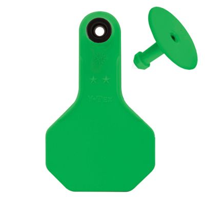 Y-TEX All-American Blank ID Cattle Tags, 2 pc., Small, Green, 25-Pack