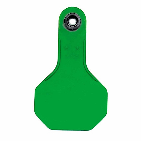 Y-TEX All-American Blank ID Cattle Tags, 2 pc., Small, Green, 25-Pack