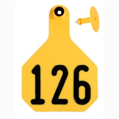 Image showing  All-American Numbered ID Cattle Tags, 2 pc., 126-150, Small, Yellow, 25-Pack