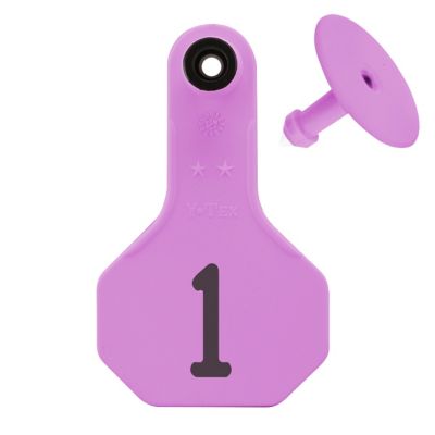 Y-TEX Numbered All-American ID Cattle Tags, 2 pc., 001-025, Small, Purple, 25-Pack