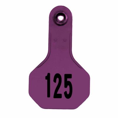 Y-TEX All-American Numbered Plastic Cattle ID Tags, 2 pc., 101-125, Small, Purple, 25-Pack