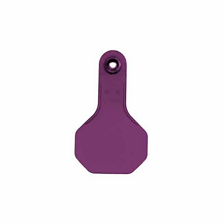 Y-TEX All-American Blank ID Cattle Tags, 2 pc., Small, Purple, 25-Pack