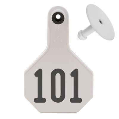 Y-TEX Numbered All-American ID Cattle Tags, 2 pc., 101-125, Medium, White, 25-Pack