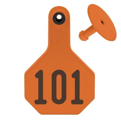 Y-TEX Numbered All-American ID Cattle Tags, 2 pc., 101-125, Medium, Orange, 25-Pack
