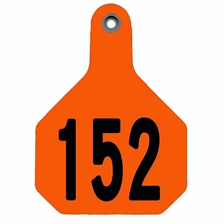 Y-TEX All-American Numbered ID Cattle Tags, 2 pc., 151-175, Medium, Orange, 25-Pack
