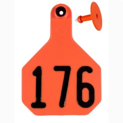 Image showing  All-American Numbered ID Cattle Tags, 2 pc., 176-200, Medium, Orange, 25 pk.