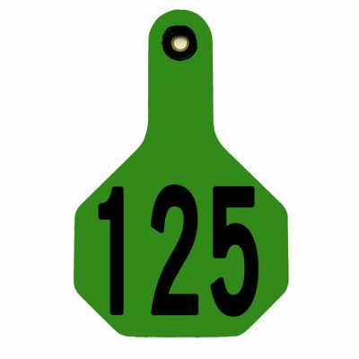 Y-TEX Numbered All-American ID Cattle Tags, 2 pc., 101-125, Medium, Green, 25-Pack