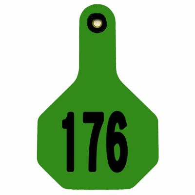 Y-TEX All-American Numbered ID Cattle Tags, 2 pc., 176-200, Medium, Green, 25-Pack