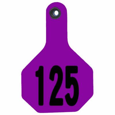 Y-TEX Numbered All-American ID Cattle Tags, 2 pc., 101-125, Medium, Purple, 25-Pack